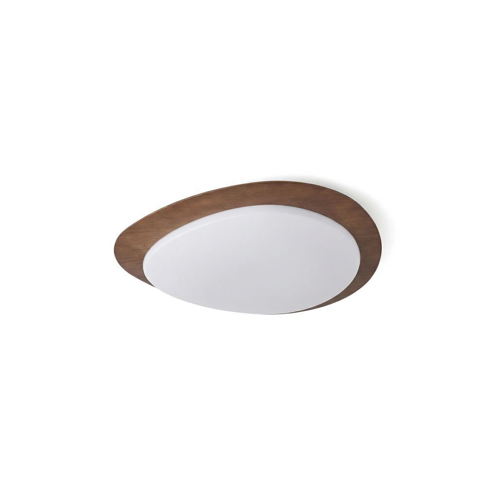 Sylvoa, fond blanc
