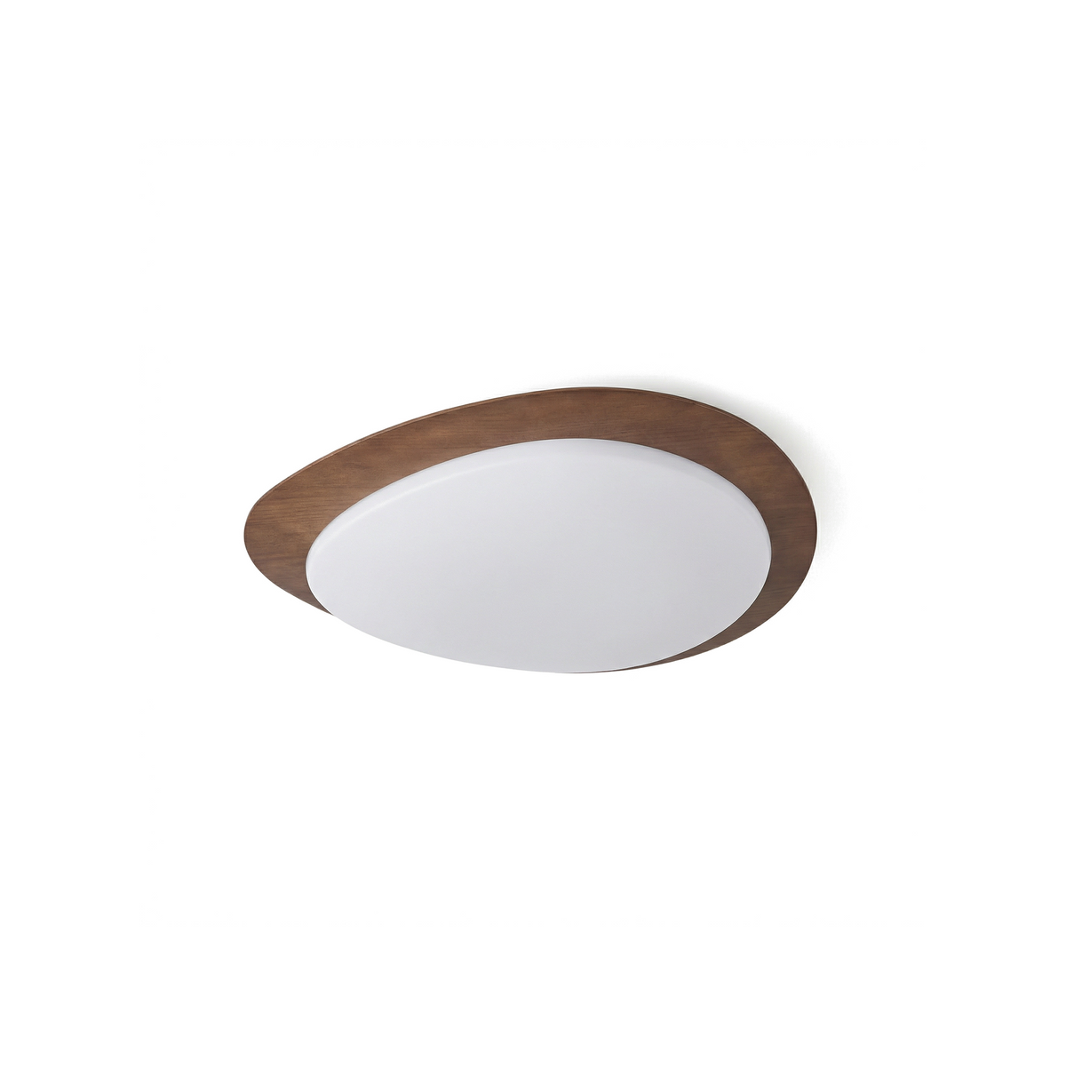 Sylvoa, fond blanc