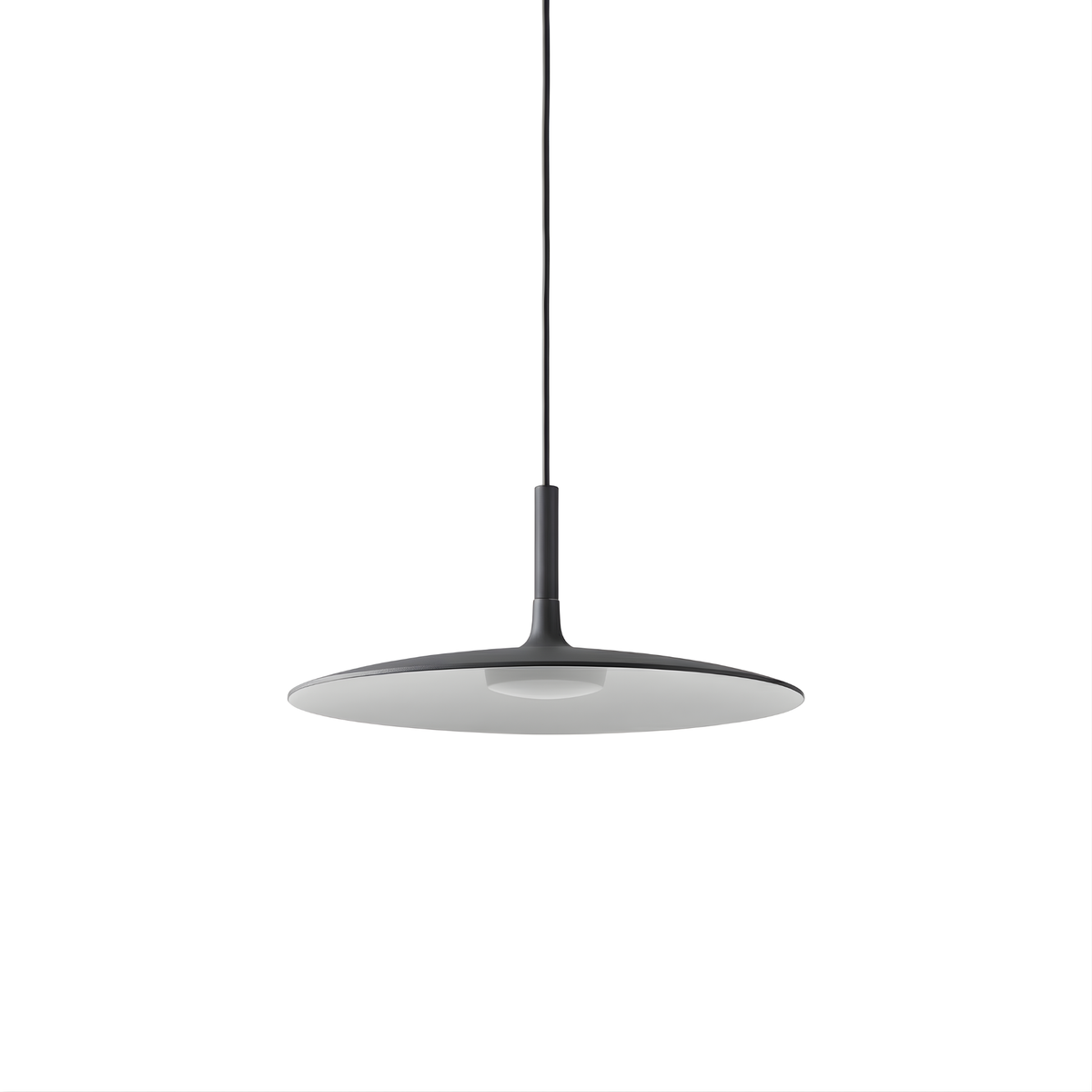Cardenia suspension, fond blanc