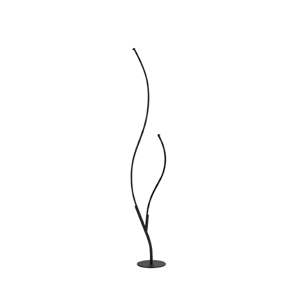 Zoraedea lampadaire, fond blanc