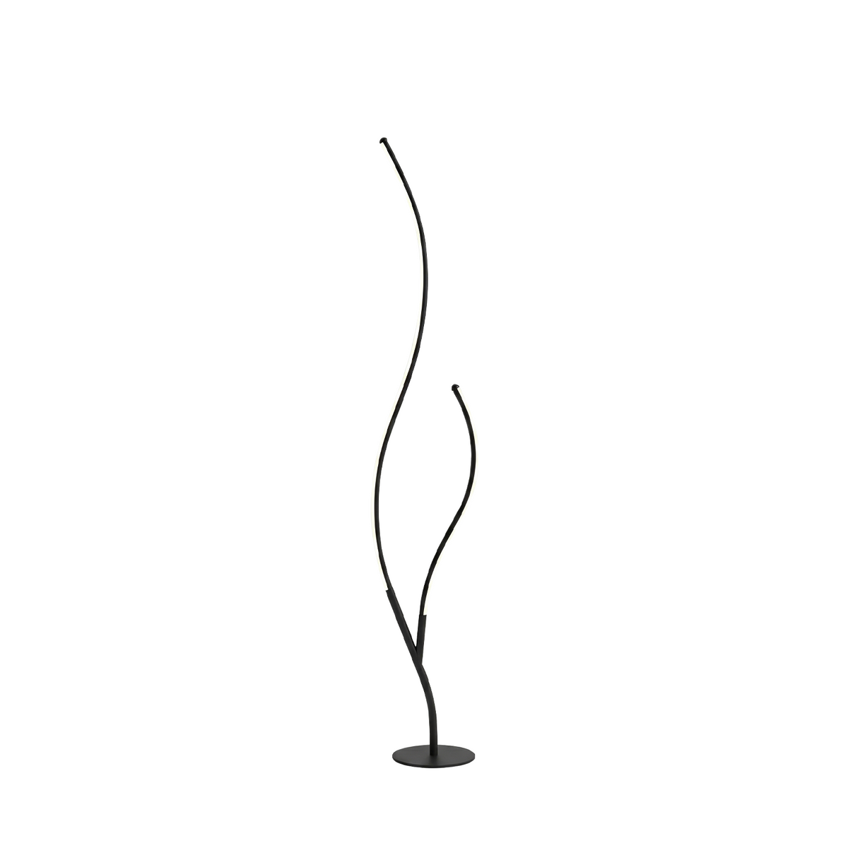 Zoraedea lampadaire, fond blanc