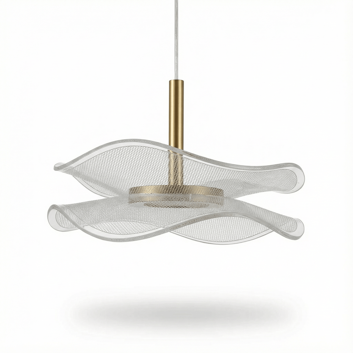 Aurys, fond blanc