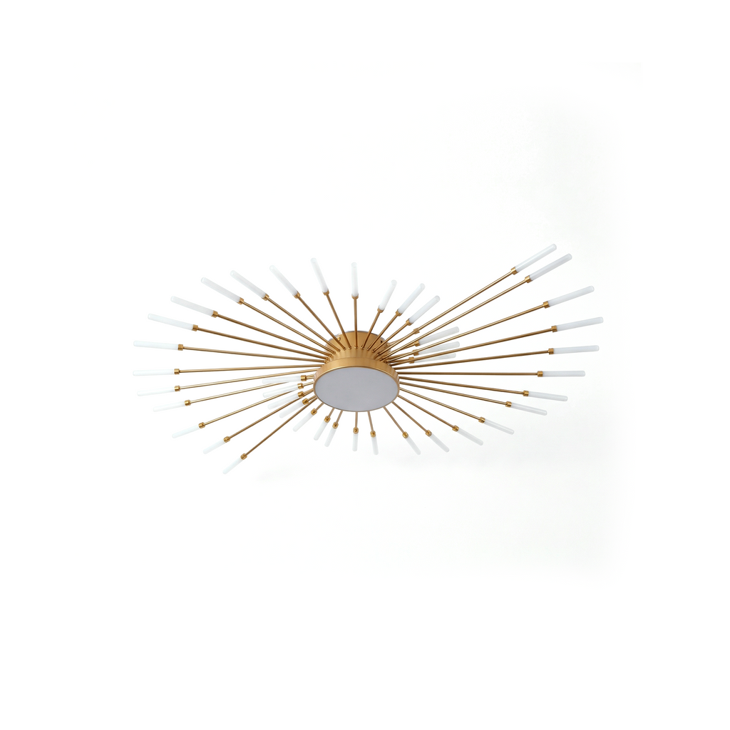 Stellio plafonnier, fond blanc