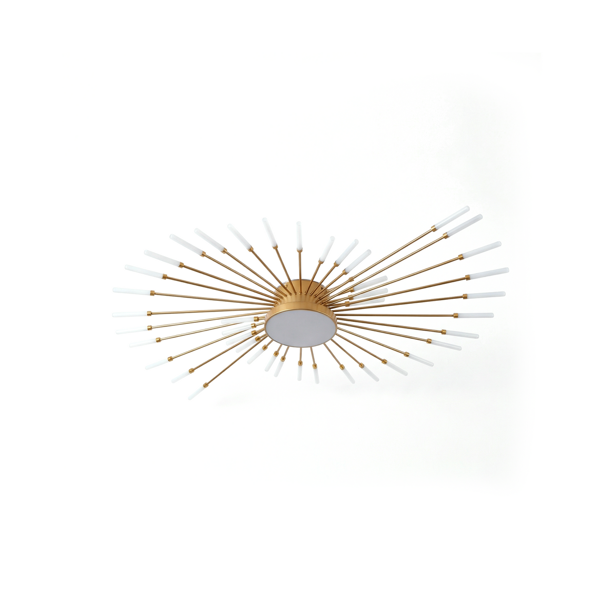 Stellio plafonnier, fond blanc