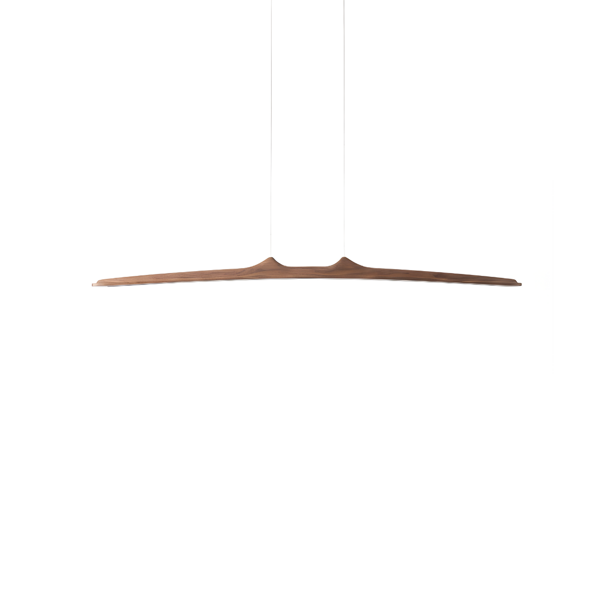 Tarnea suspension, fond blanc