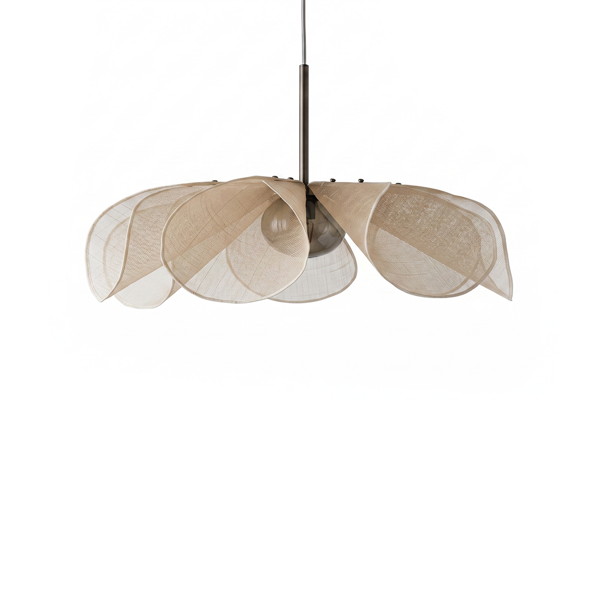 Rovea suspension, fond blanc