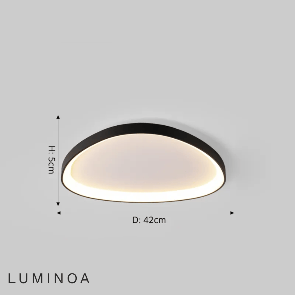 Schéma de l'Orbit noir : diamètre 42 cm, hauteur 5 cm