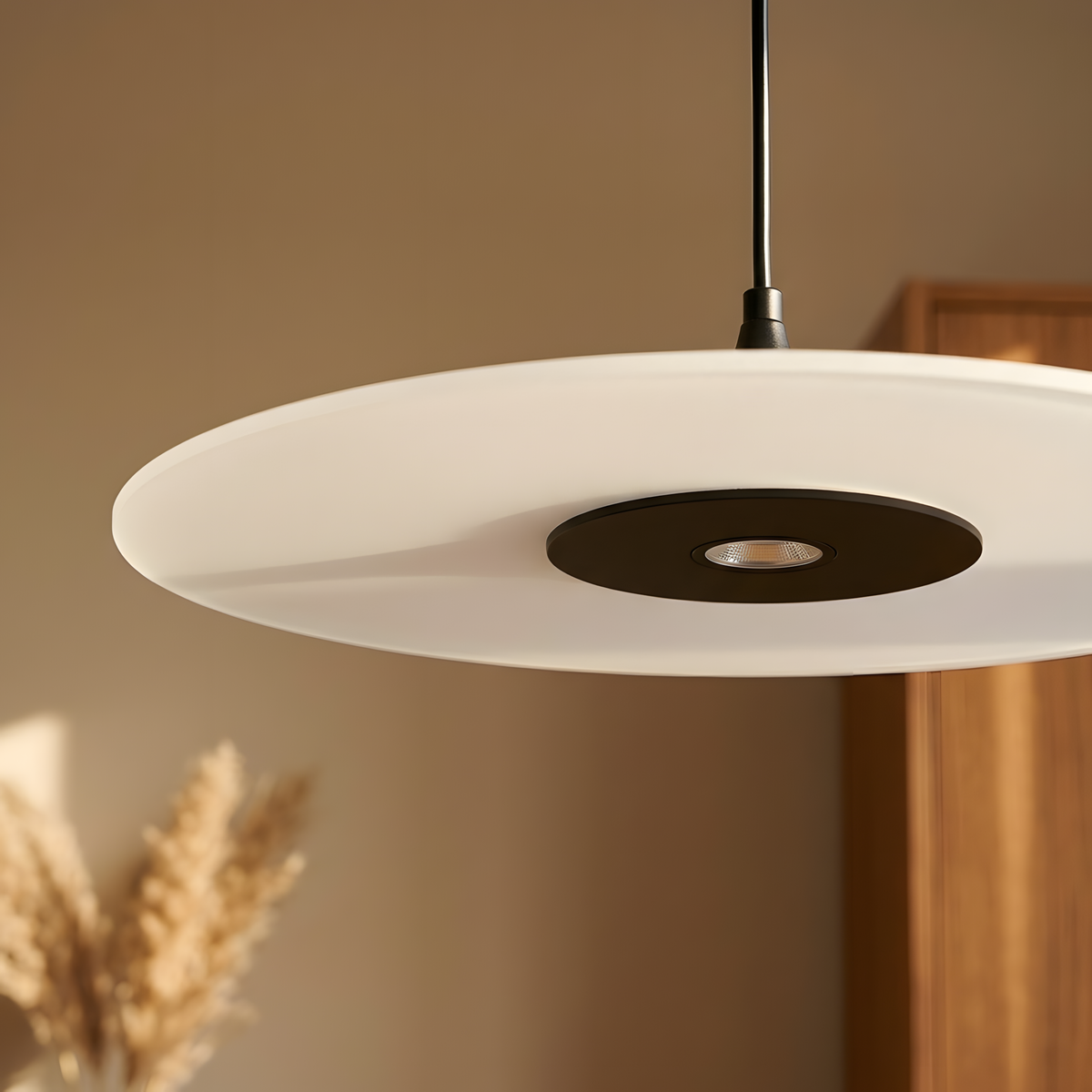 Cendria suspension disque, entrée graphique