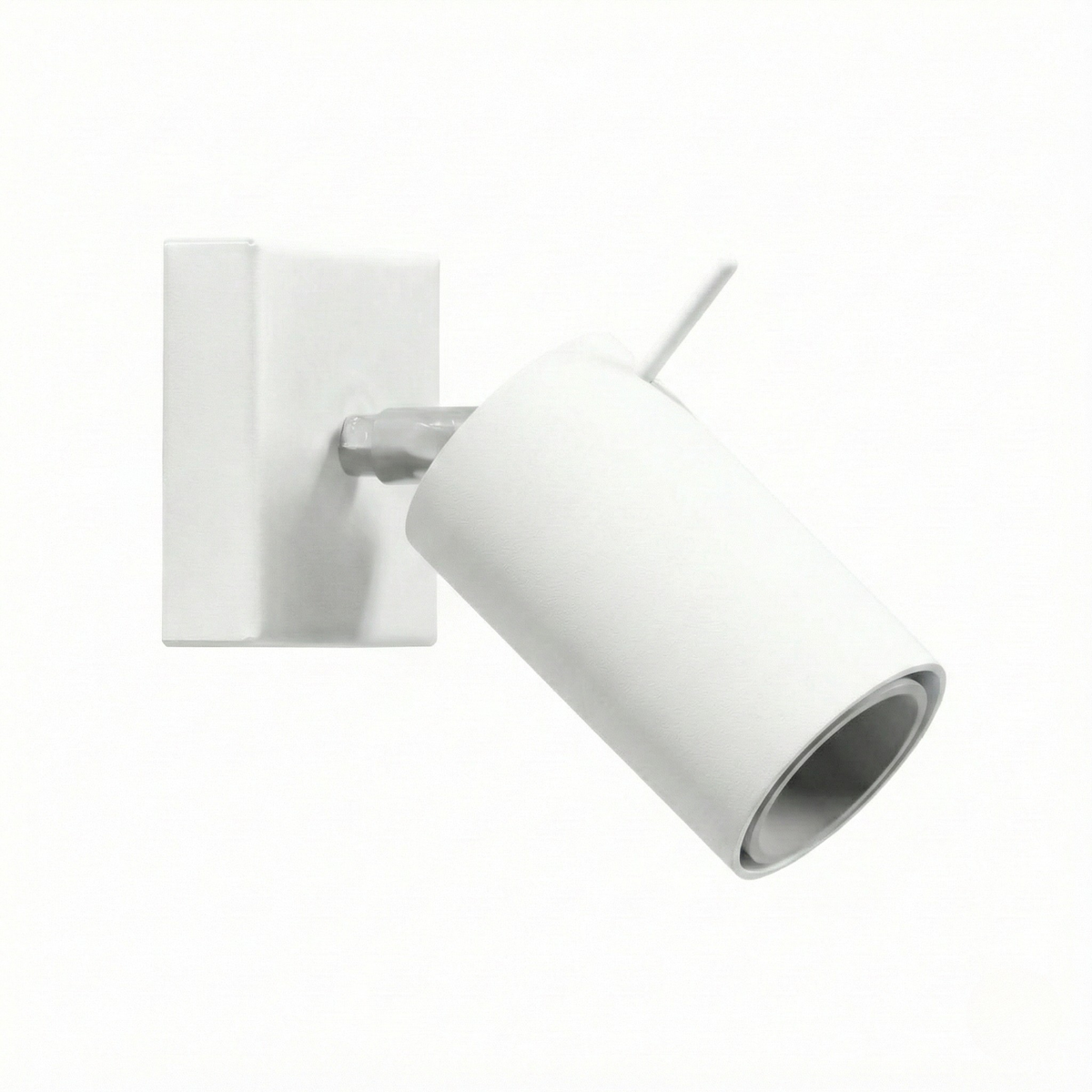 Brianea applique murale, fond blanc