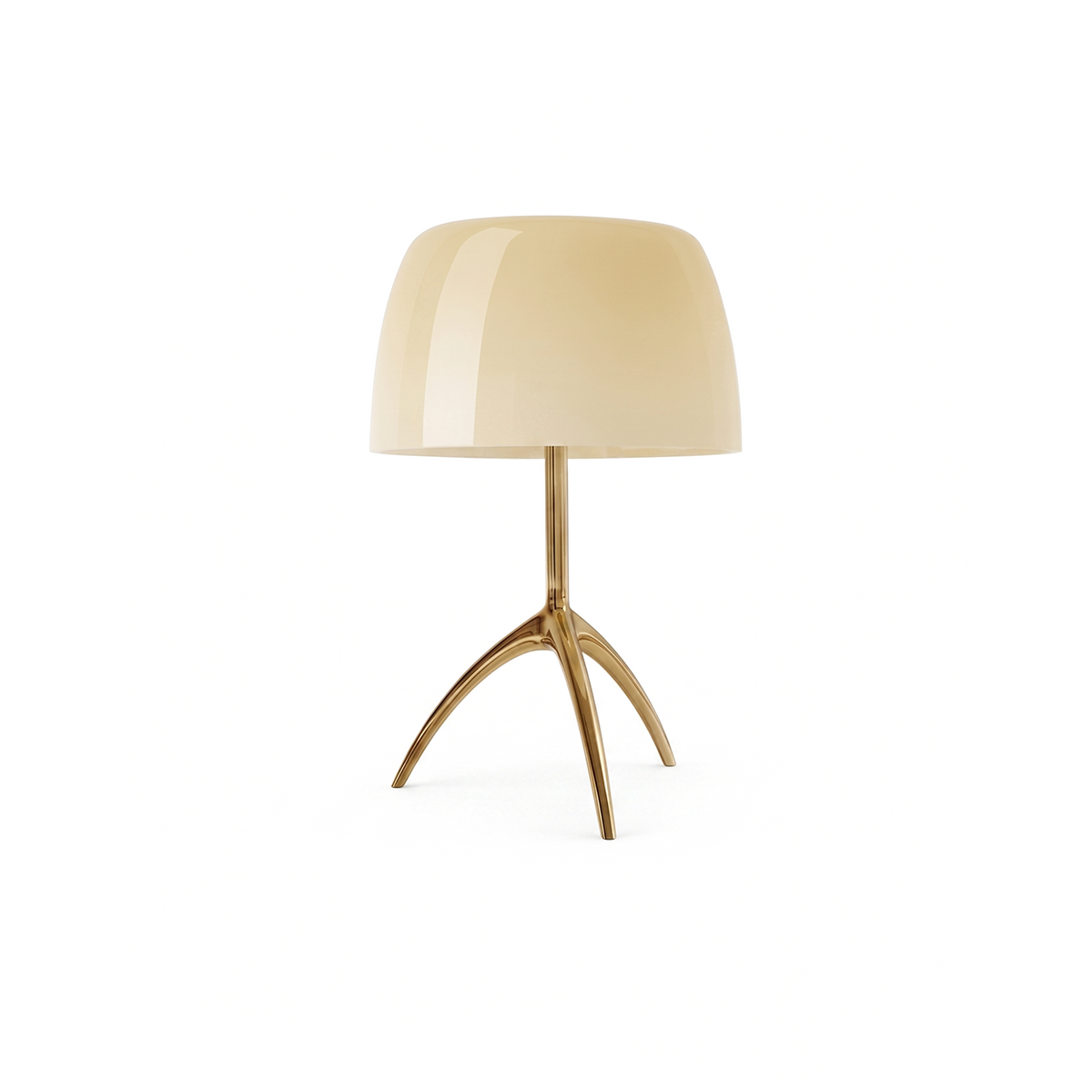 Tripova, fond blanc
