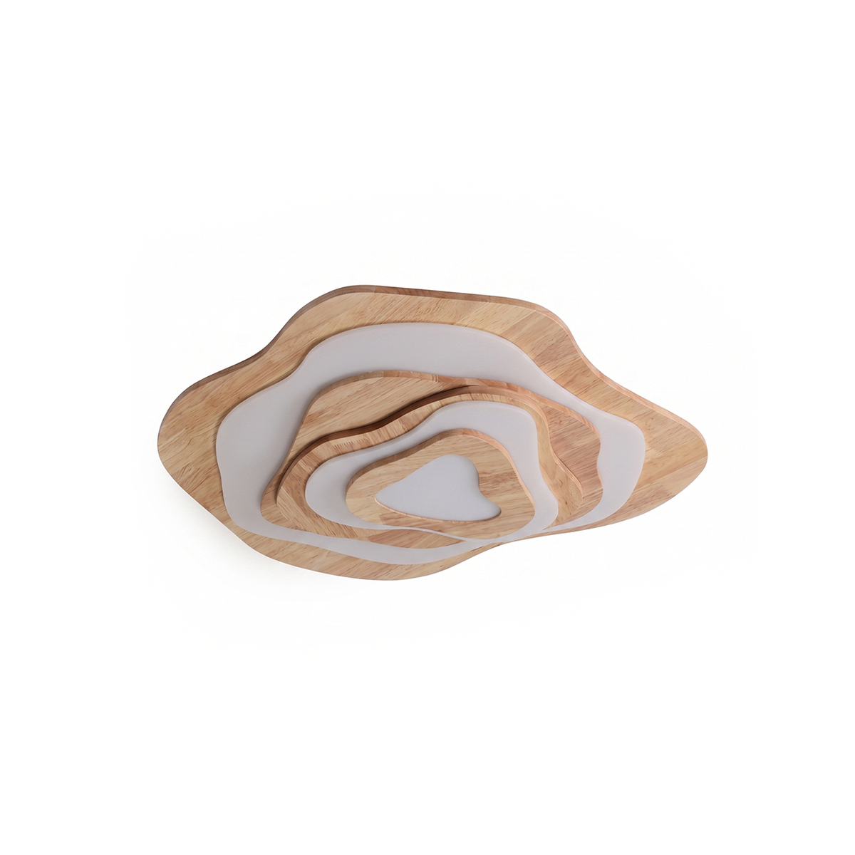 Boisea plafonnier, fond blanc